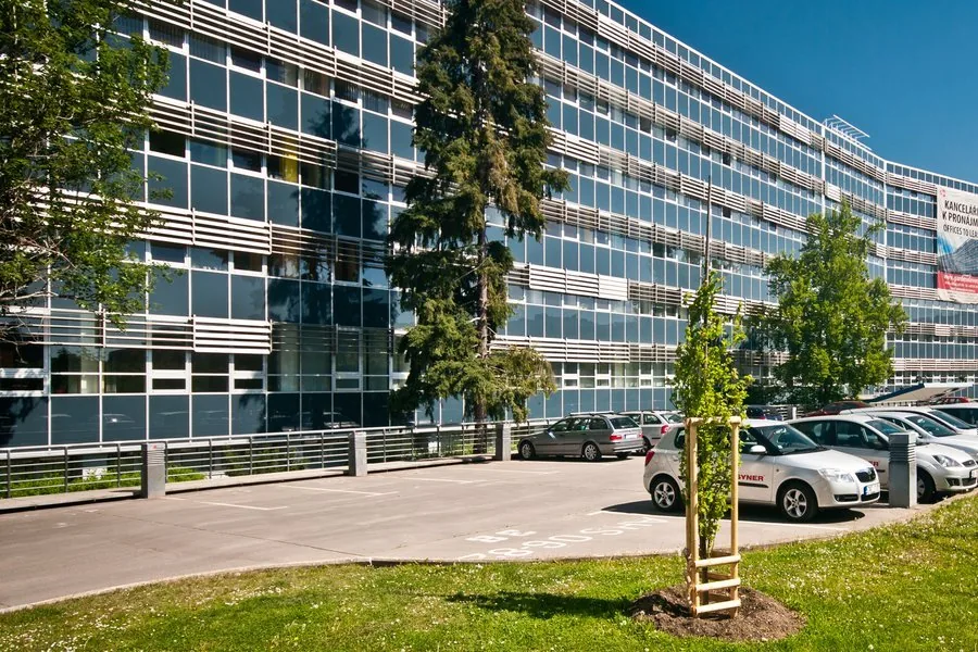 GARDEN ELEVEN
